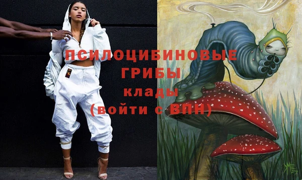 дмт Армянск