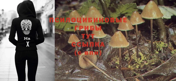 Альфа ПВП Аркадак